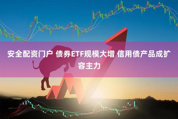 安全配资门户 债券ETF规模大增 信用债产品成扩容主力