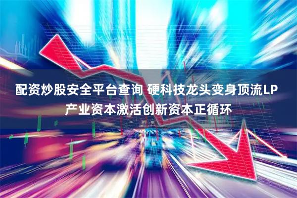 配资炒股安全平台查询 硬科技龙头变身顶流LP 产业资本激活创新资本正循环